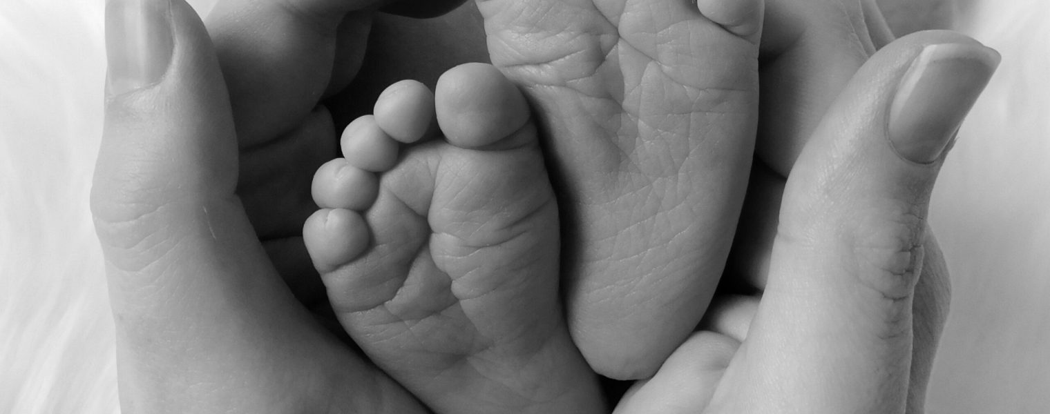 shannon-pitter-I8Ik4L3lPrs-unsplash